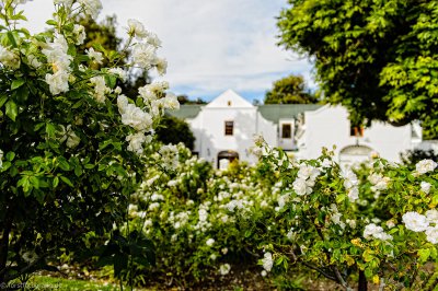 20130306-_HOF8121_alt_-2.jpg 20130306-_HOF8121_alt_-2.jpg