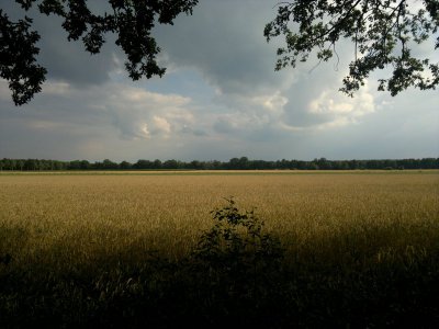 Wetter.jpg Wetter.jpg