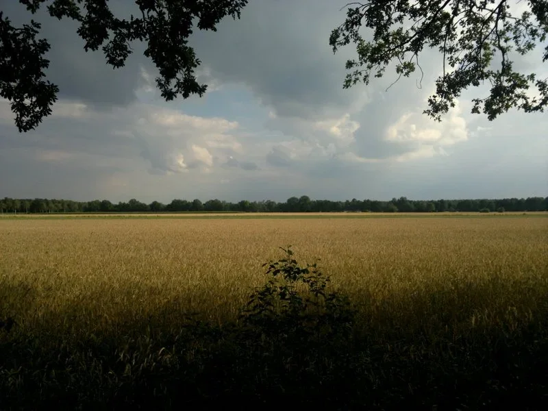Wetter.webp