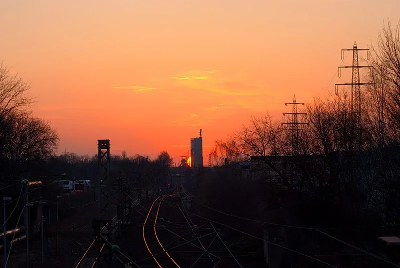 IMGP5020+.webp