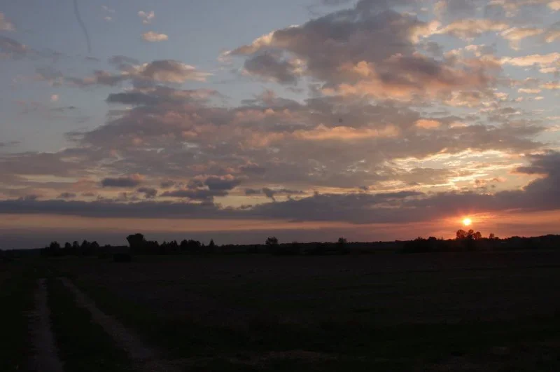 IMGP1587.webp