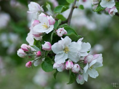 IMGP4157.jpg IMGP4157.jpg