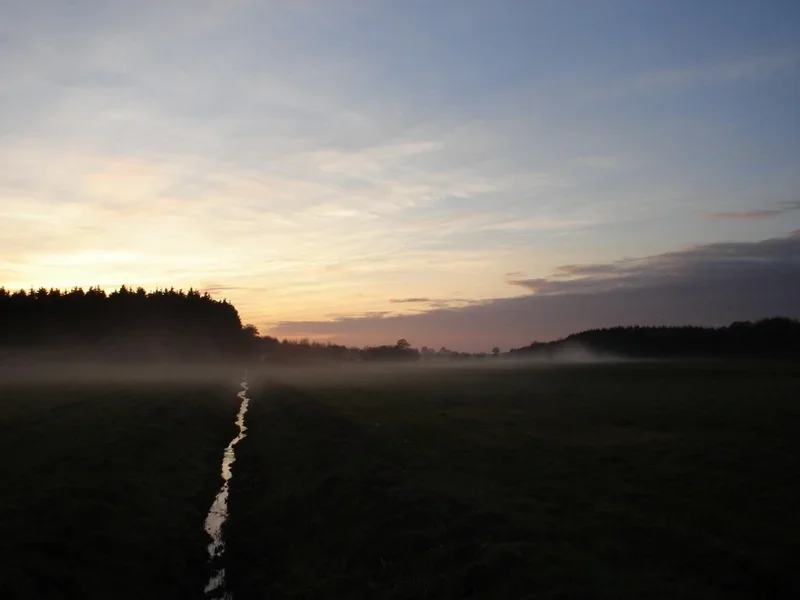 Sonnenuntergang mit Nebel  1.webp