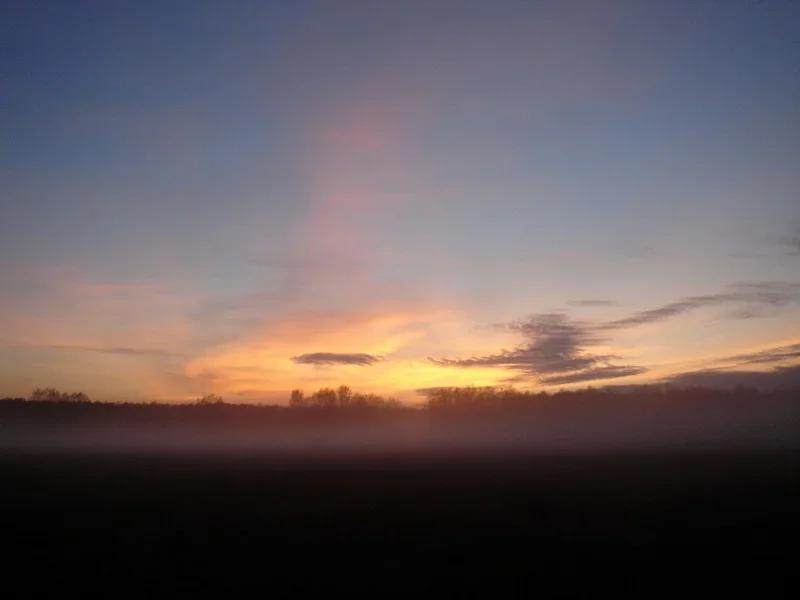 Sonnenuntergang mit Nebel  2.webp