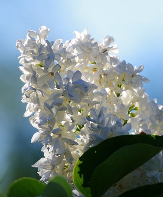 IMGP6358 Kopie 800.jpg