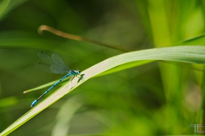 IMGP4756.jpg IMGP4756.jpg