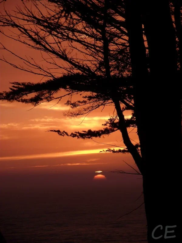 DSCF3247.JPG.webp
