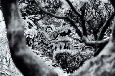 20130628 HOF -L1009000-alt.jpg 20130628 HOF -L1009000-alt.jpg