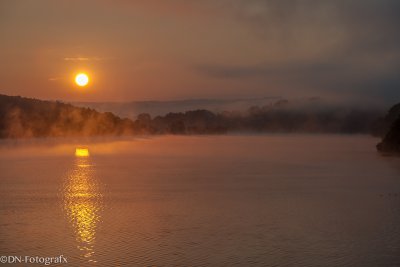 _DWN0973.jpg