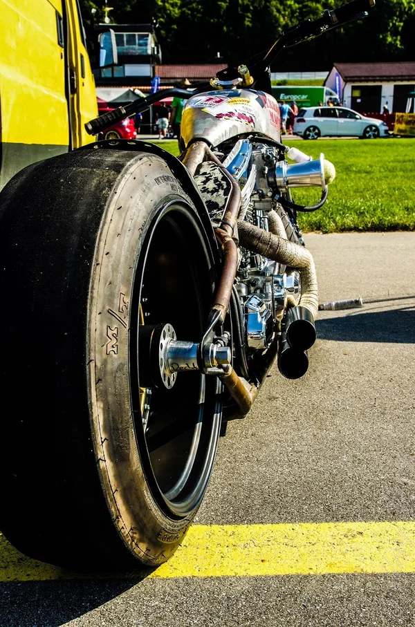 Harley.webp