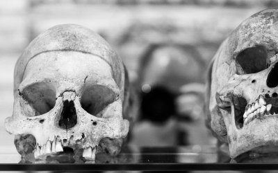 20111204_nmb Knochenarbeit_007-Bearbeitet.jpg