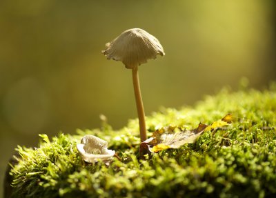 _DSC6916_forum.jpg
