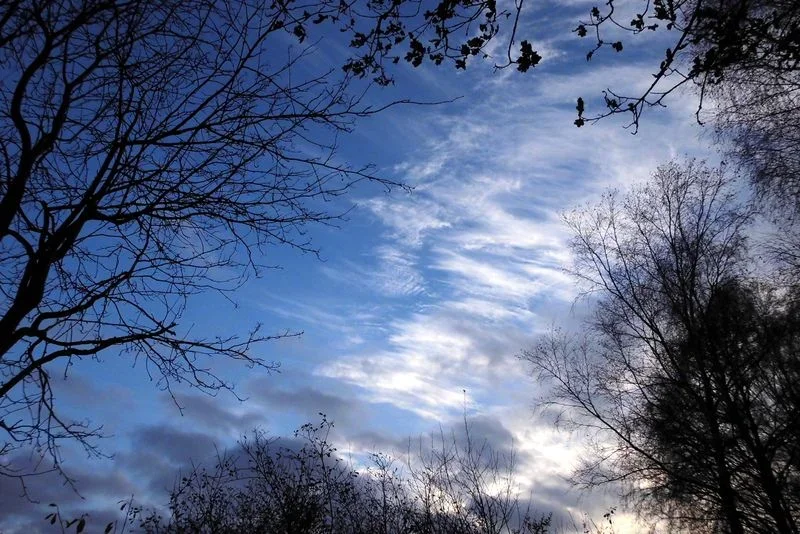 ZerrWolken_1.webp