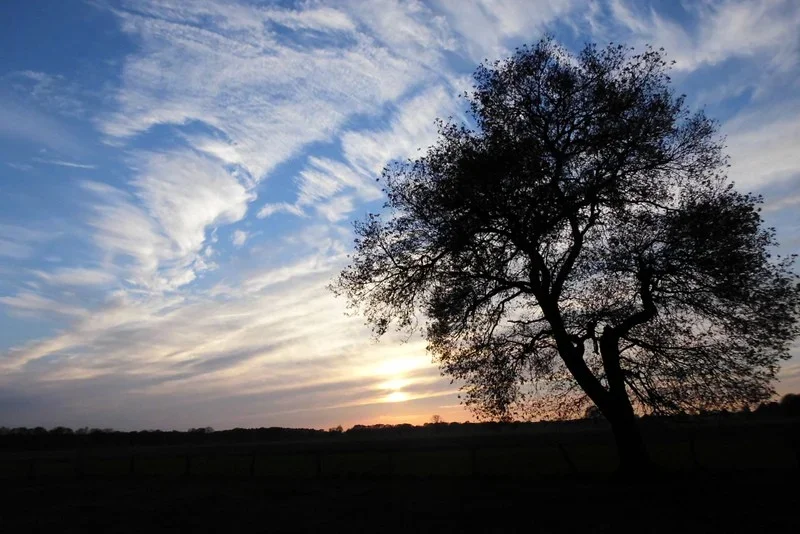 ZerrWolken_3.webp
