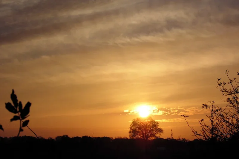 Sonnenuntergang_1.webp