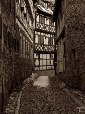 IMGP3337 - Arbeitskopie 2.jpg