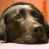 Bandi